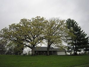 Apr 26 2011