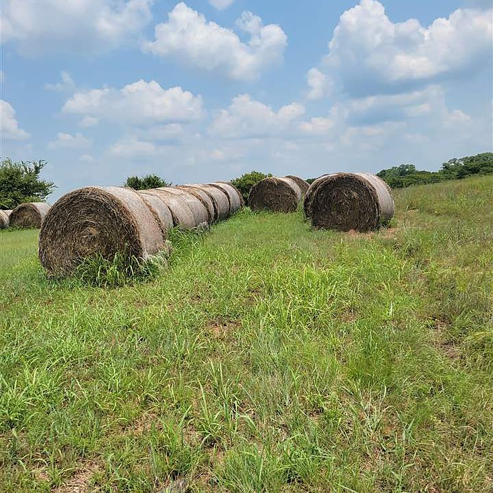 1st image of 181884 Old Highway 81 Dr