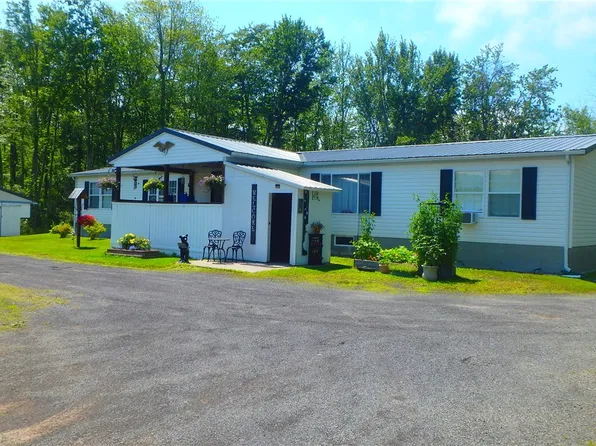 10854 Duck Lake Rd, Red Creek, NY 13143