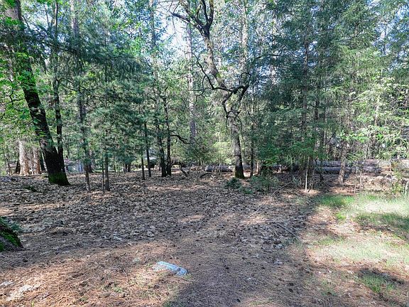 5th image of 16303 Niblick Road