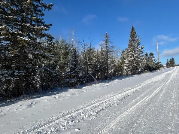 V/l 3360a S County Line Rd, Onaway, MI 49765