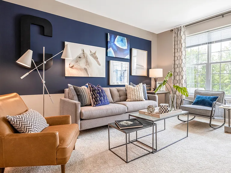 Designer Collection Living Room