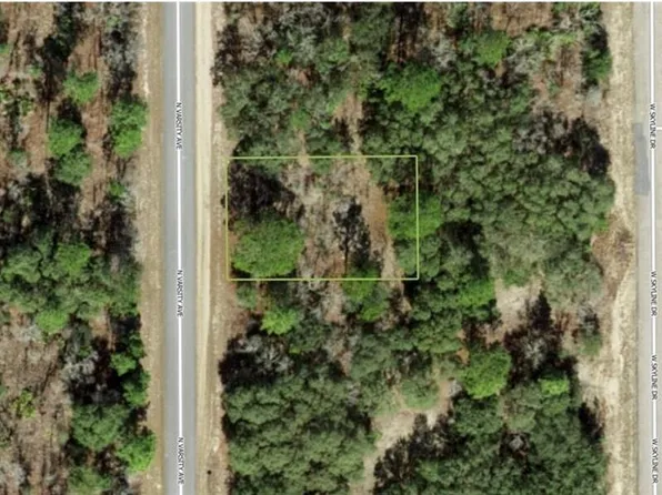 6719 N VARSITY AVENUE LOT 35, CITRUS SPRINGS, FL 34434