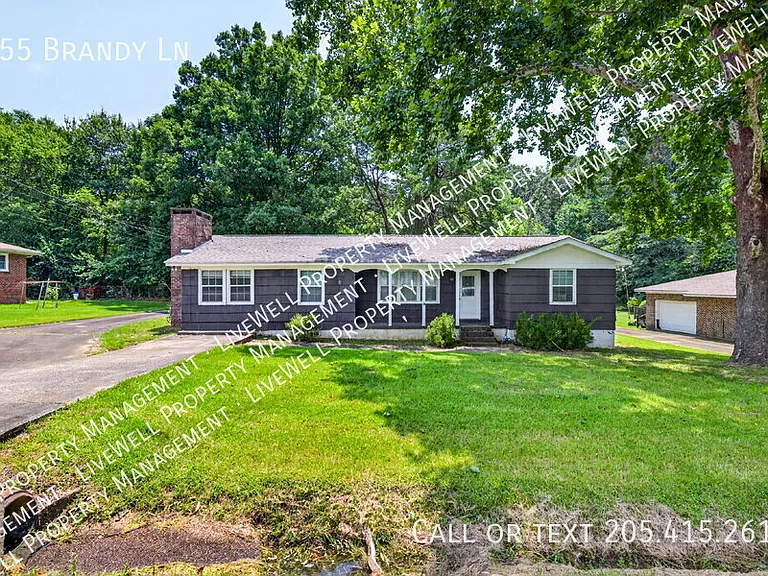 955 Brandy Ln — Photo 3
