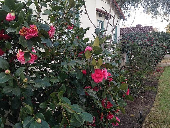 4th image of 6057 Encinita Ave