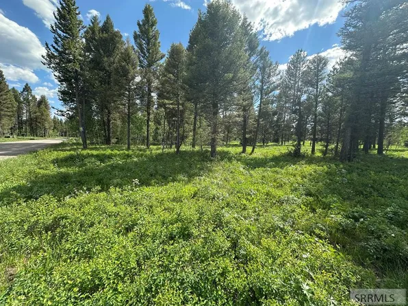 4095 Icehouse Creek Way, Island Park, ID 83429