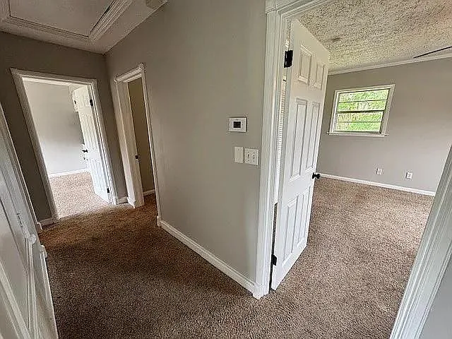 203 N Lake Dr — Photo 11