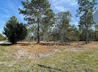 10052 Yellowbird Ave, Weeki Wachee, FL 34614