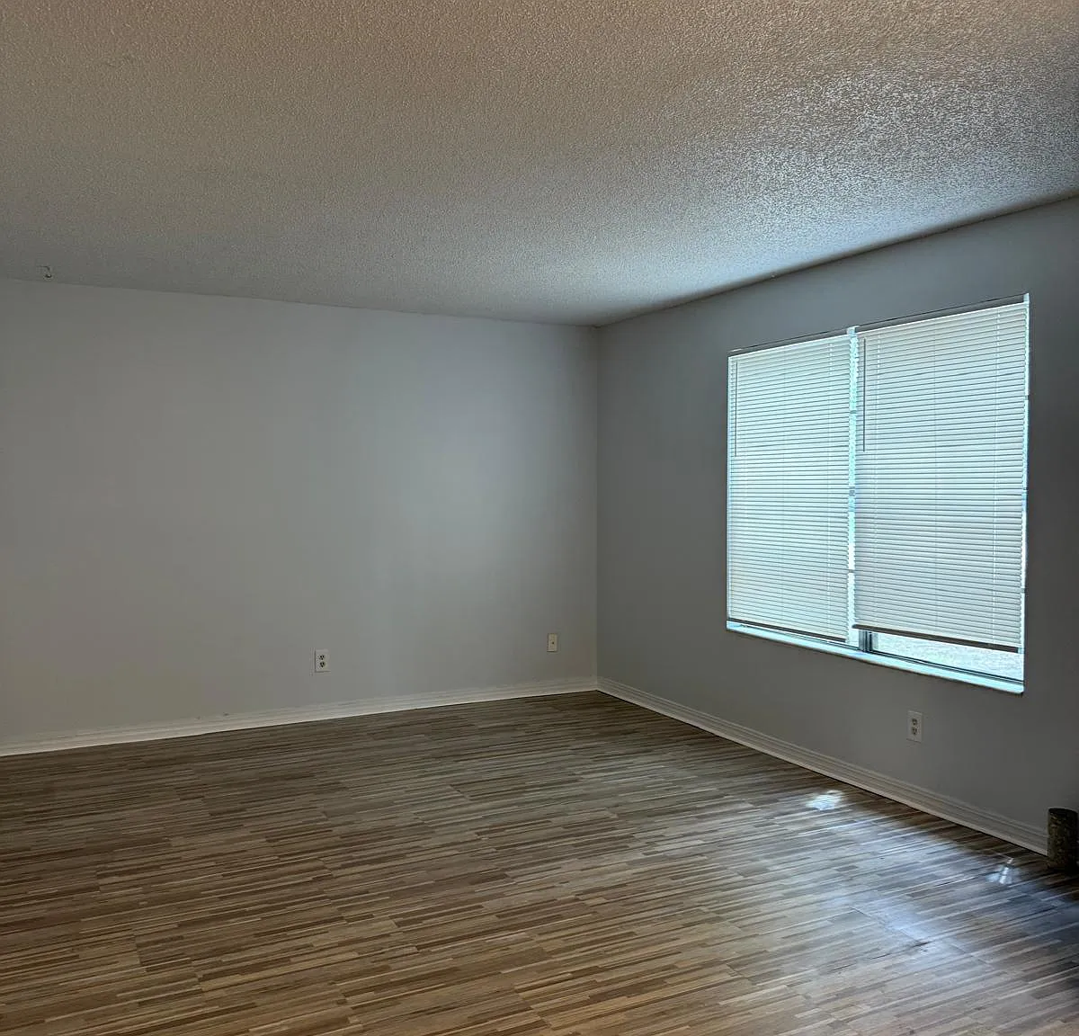459 Lombard Street - 1B — Photo 3