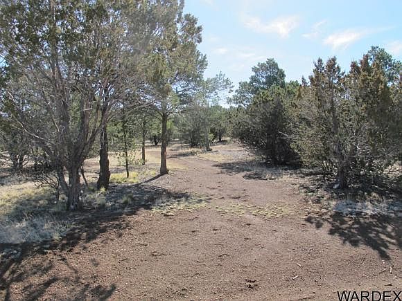 1st image of 7155 N Audrey Way