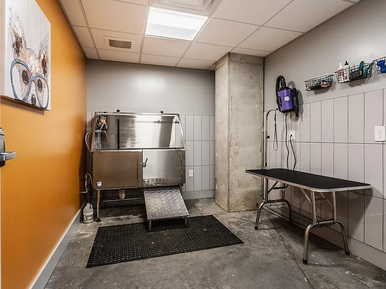 Artistry Cincy Pet Spa