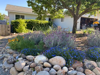 8529 Hayden Way, Fair Oaks, CA, 95628