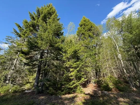 Lot 13 Pidgeon Point Road, Whiting, ME 04691