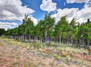 59 Pelican Pl, Pelican pl, CO 80432