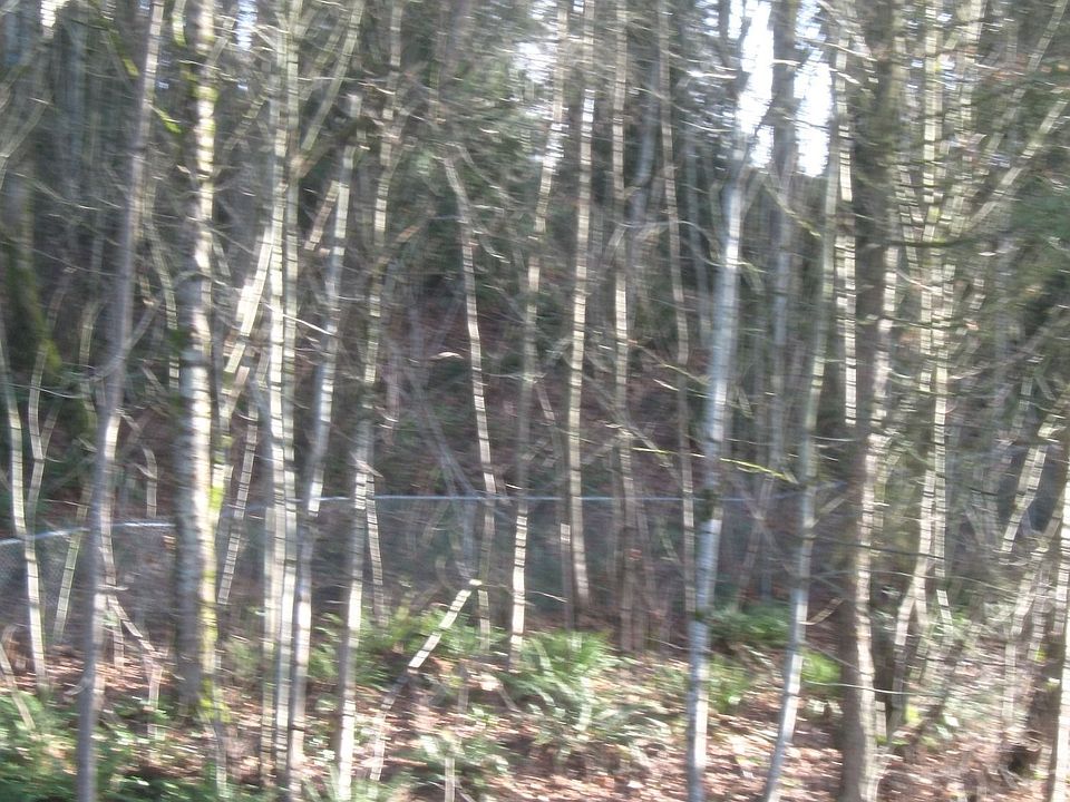 View from the bedroom