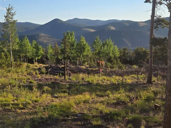 000 Frank C, Idaho Springs, CO 80452