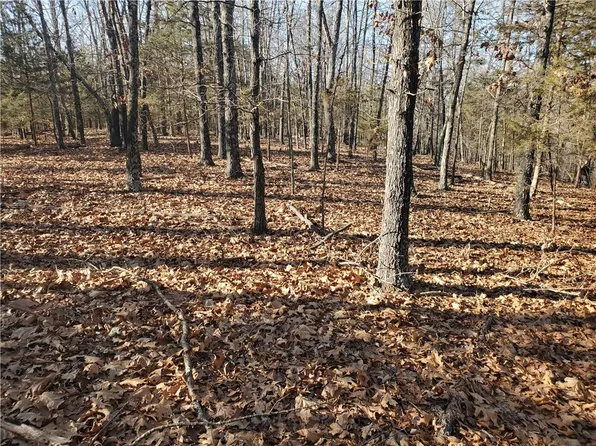 Wedgewood Lot 1 Dr #1, Garfield, AR 72732