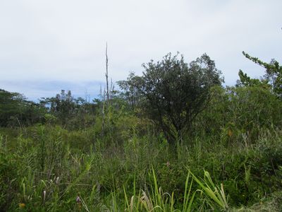 4th Ave, Keaau, HI, 96749