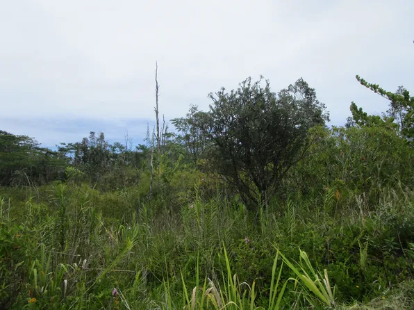 4th Ave Lot 2549, Keaau, HI 96749
