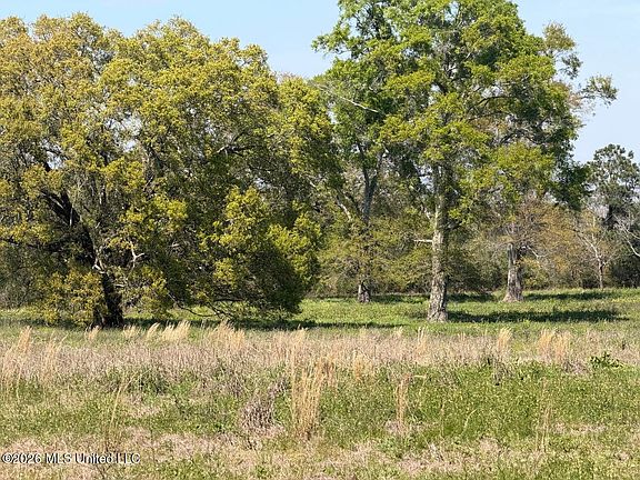 3rd image of 11.74 Magnolia Rd