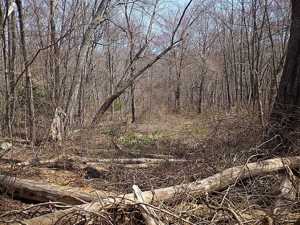 2nd image of 90 Chestnut Hill Rd