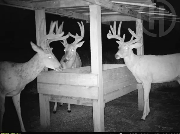 2350 Eagle Rd, Peru, KS 67360