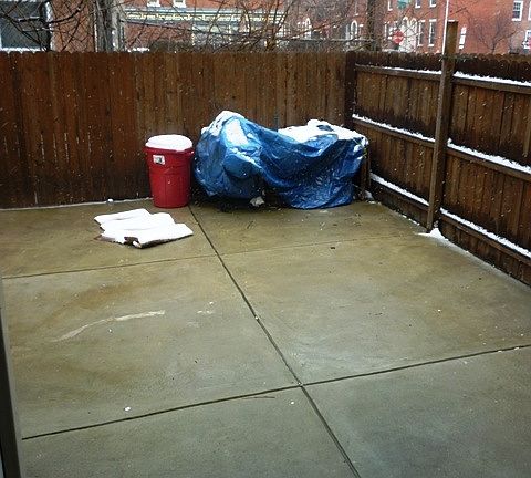 4th image of 1603 Mount Vernon St #1