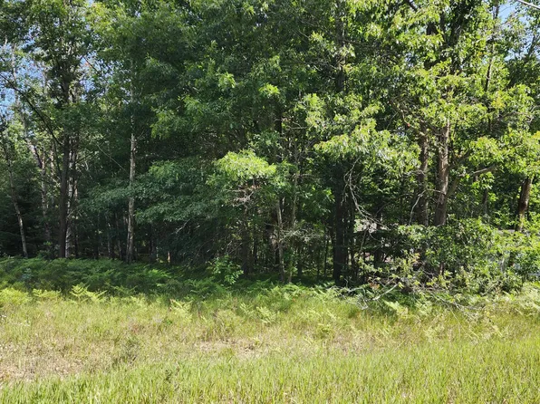Springwood Dr, Prudenville, MI 48651