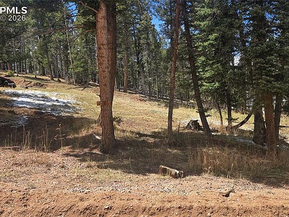 2nd image of 151 Mount Elbert Rd