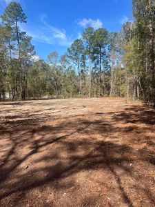 1969 Beach Rd, Walterboro, SC, 29488