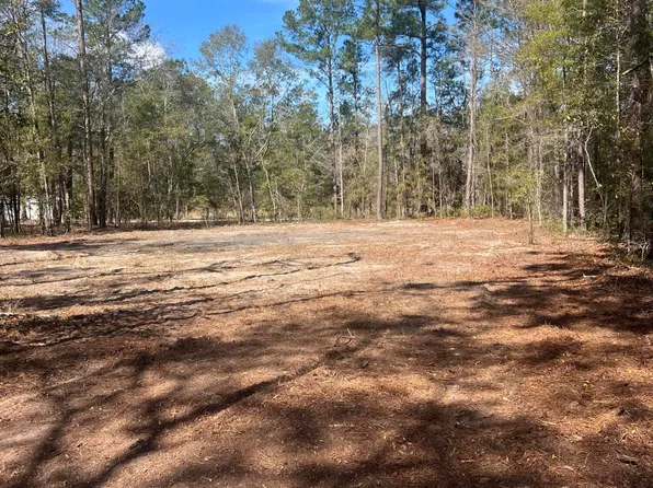 1969 Beach Rd, Walterboro, SC 29488