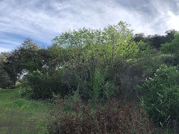 5th image of 2072-031 Old Topanga Canyon Rd