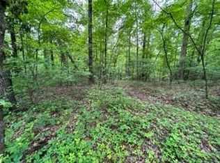 LOT 34&35 Cherokee Trl, Mc Caysville, GA 30555
