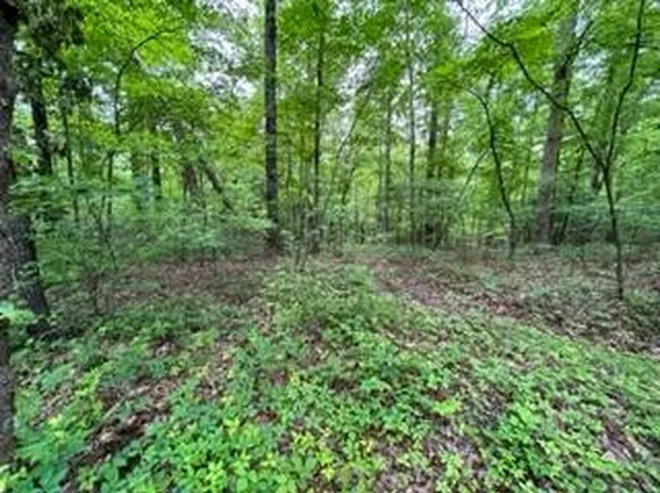 LOT 34&35 Cherokee Trl, Mc Caysville, GA 30555