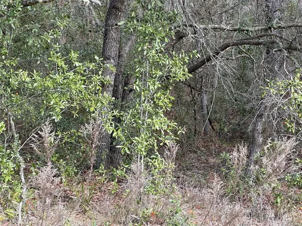 3922 N LONGVALLEY ROAD LOT 20, HERNANDO, FL 34442