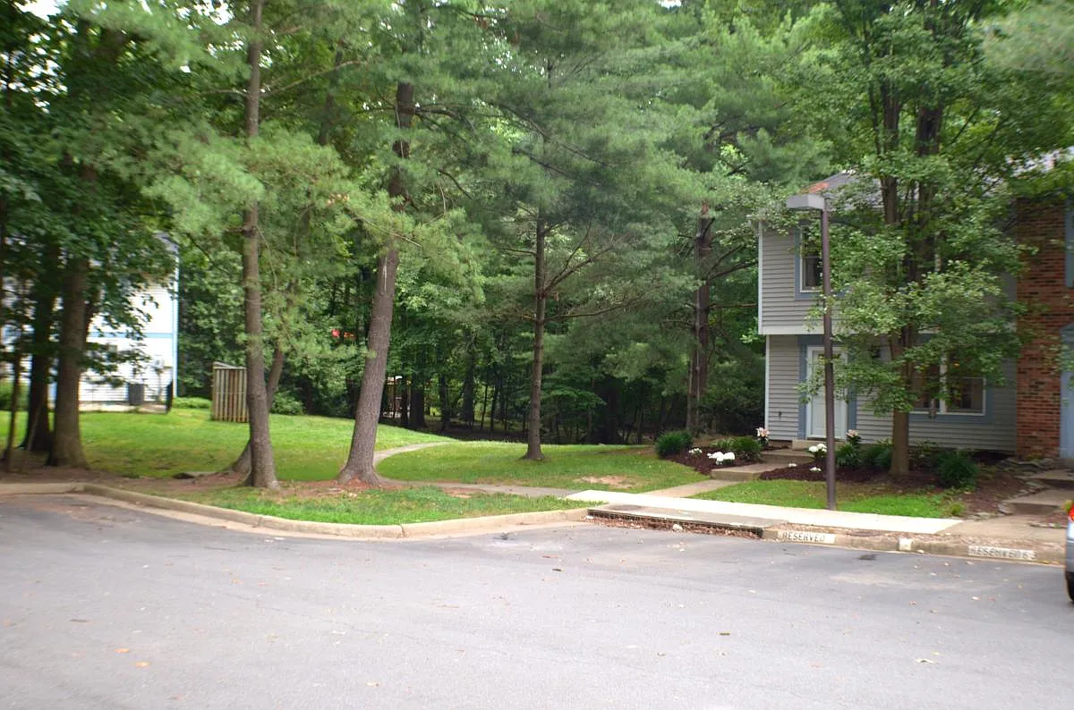 3 bed, 2.5 bath, 1220 sqft, $2,800 — Photo 3