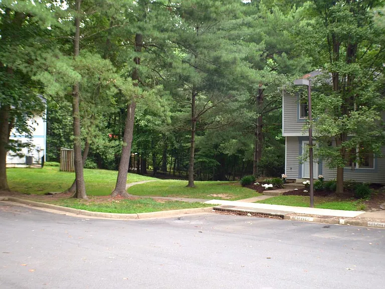 View of Driveway and Side Yard