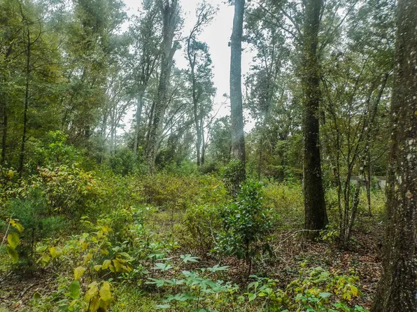 Tbd Sw Reno Way, Fort White, FL 32038