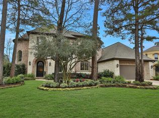 14 Spruce Canyon Pl, Spring, TX 77382