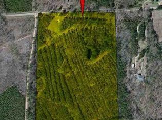 Holly Bush Rd, Pelahatchie, MS 39145