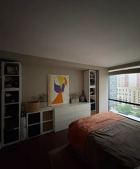 900 N Lake Shore Dr #1106 — Photo 12