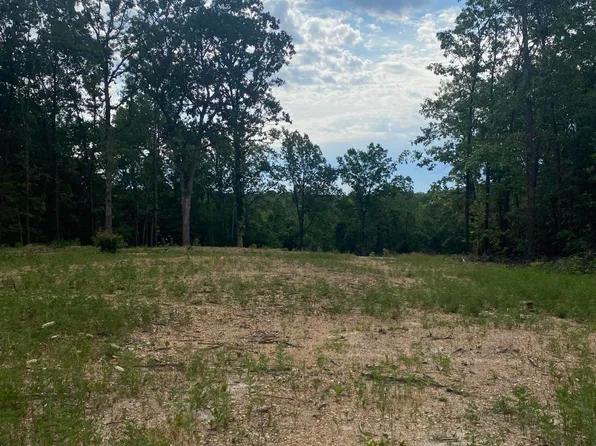 Tbd Grapevine Road, Marshfield, MO 65706