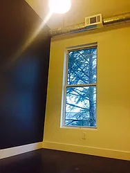 Rented by P Management