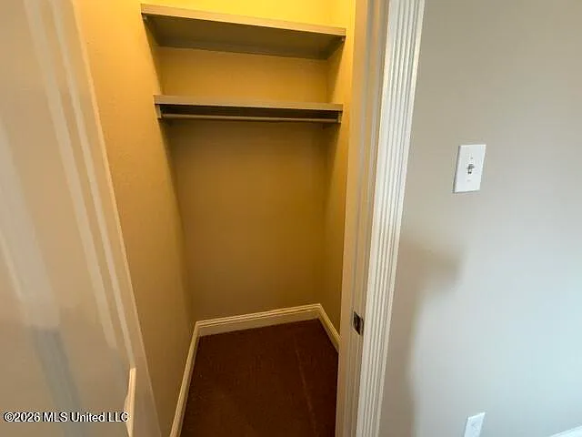 1282 Tropical Cv — Photo 13