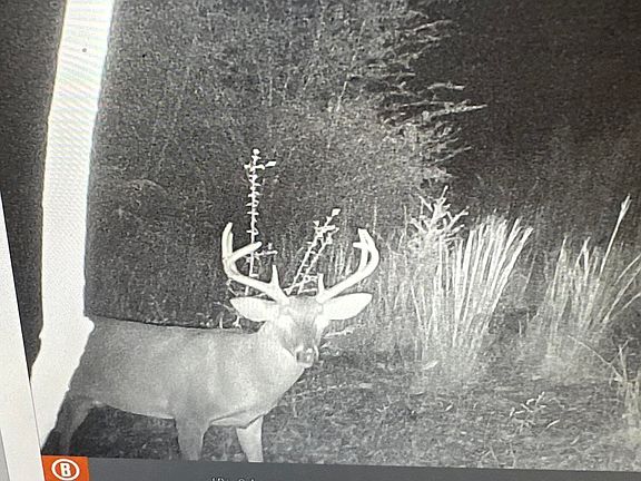 2nd image of 2490 Shady Grove Rd