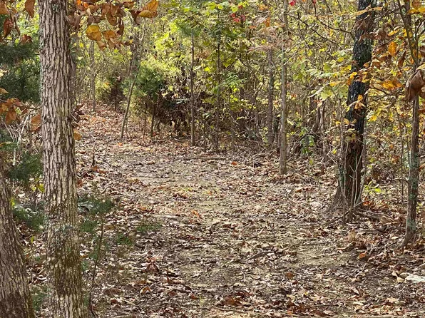 Lower Janes Creek Rd, Ravenden Springs, AR 72460
