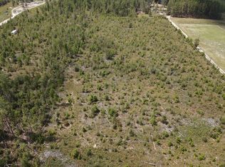 Vacant Ne Beulah Church Rd, Lee, FL 32059