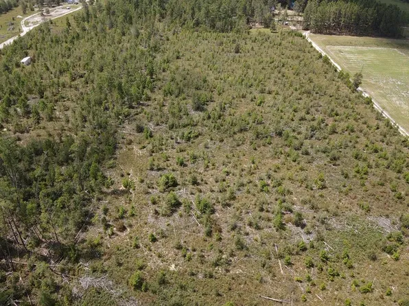 Vacant Ne Beulah Church Rd, Lee, FL 32059