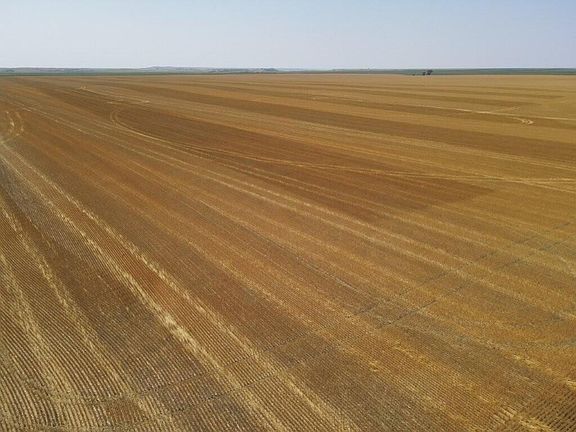 4th image of Dakota St #1804