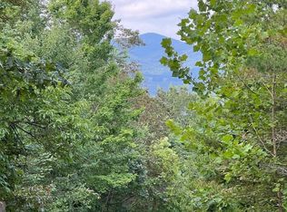 11 Preserve At Beach Mountain, Brasstown, NC 28902